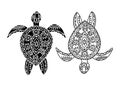 Tortoise ornate for your design