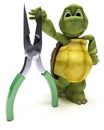 Tortoise with pliers