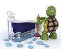 Tortoise plumbing contractor