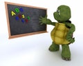 Tortoise with school chalk board