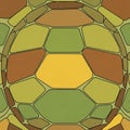 Tortoise shell, featuring interlocking hexagons and polygons in Royalty Free Stock Photo