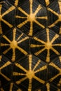 tortoise shell pattern shell texture with yellow star shapes on black background featuring reptile armor aesthetic and professiona Royalty Free Stock Photo