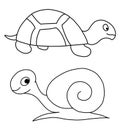 Tortoise and snail Royalty Free Stock Photo