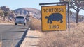 Tortoise or turtle crossing yellow road sign, California USA. Wild animal xing. Royalty Free Stock Photo