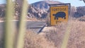 Tortoise or turtle crossing yellow road sign, California USA. Wild animal xing. Royalty Free Stock Photo