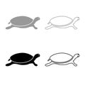 Tortoise turtle icon outline set grey black color