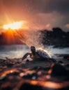 sea turtle walking slowly on sand with protective shell, sea turtle crawling on rocky beach, Royalty Free Stock Photo