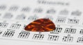 Tortoiseshell Guitar Pick Resting on Guitar Chord Chart with Blurred Background plectrum Royalty Free Stock Photo