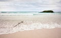 Tortuga Bay beach on Santa Cruz Island, Galapagos Islands, Ecuador Royalty Free Stock Photo