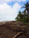 Tortuguero Beach, Costa Rica