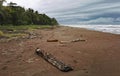 Tortuguero beach landscape. Limon, Costa Rica.