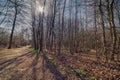 Nature and state of mind: Torup Bokskogen natural park trail with leafless trees Royalty Free Stock Photo