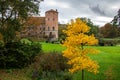 A yellow autumn tree in the casle gardens of Torup