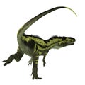 Torvosaurus Dinosaur Tail