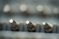Torx screwdriver bits in macro close up Royalty Free Stock Photo