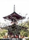 Cherry blossoms and red pagoda at Shoryuji, temple number 36 of Shikoku pilgrimage Royalty Free Stock Photo