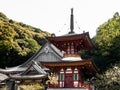 Red pagoda at Shoryuji, temple number 36 of Shikoku pilgrimage Royalty Free Stock Photo