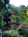 Springtime at Shoryuji, temple number 36 of Shikoku pilgrimage Royalty Free Stock Photo