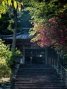 Springtime at Shoryuji, temple number 36 of Shikoku pilgrimage Royalty Free Stock Photo