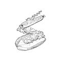 Tossed hotdog black and white sketch vector illustration. Vector illustration decorative design