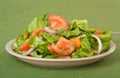 Tossed Salad Royalty Free Stock Photo