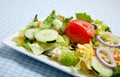 Tossed Salad on a plate with a fork Royalty Free Stock Photo