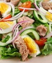 Tossed Tuna And Egg Salad Royalty Free Stock Photo