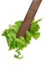 Tossing Lettuce Royalty Free Stock Photo