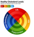 Total Blood Cholesterol HDL LDL Triglycerides Chart Royalty Free Stock Photo