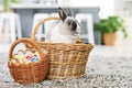 Total chick magnet. a cute rabbit sitting in a basket with eggs at home.
