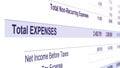 Total expences underlined accounting information, business year budget table