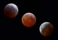 Total Lunar Blood Moon Eclipse phases March 2025 Royalty Free Stock Photo