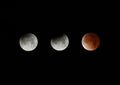 Total Lunar Eclipse