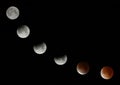 Total Lunar Eclipse