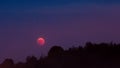 Total lunar eclipse 2018, July blood moon and stars over woodland Royalty Free Stock Photo