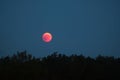 Total lunar eclipse in July 2018, blood moon Royalty Free Stock Photo