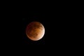 Total Lunar Eclipse Royalty Free Stock Photo