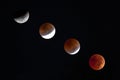 Total Lunar Eclipse of November 8, 2022 Royalty Free Stock Photo