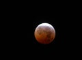 Total Lunar Eclipse of The Red Moon with a Black Background Royalty Free Stock Photo