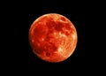 Total lunar eclipse. Super Blood Full Moon. Black night sky without stars. View in telescope telephoto lens. Astro or astronomy ph Royalty Free Stock Photo