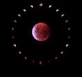 Total moon eclipse. Cycle