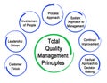 Total Quality Management Principles