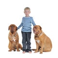 Total safety concept - boy with dogs Royalty Free Stock Photo