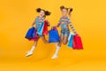 Total sale. Kids fashion. Holiday purchase saving. Home shopping. Buyer consumer concept. Small girls with shopping bags