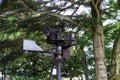 Total surveillance with cameras in nature