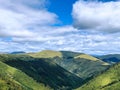 Tibet trip on the mountain forest