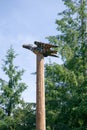 Totems art and carvings at saxman village in ketchikan alaska Royalty Free Stock Photo