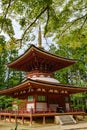 Toto East Pagoda, Koyasan