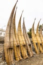 Totora horses (caballito de totora) Royalty Free Stock Photo