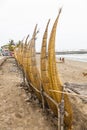 Totora horses (caballito de totora) Royalty Free Stock Photo